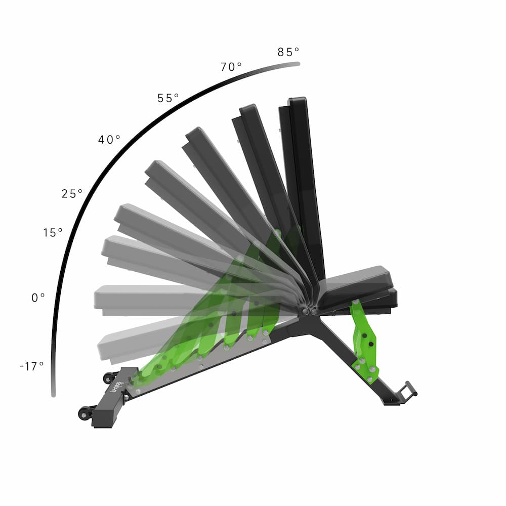 Performer Pro